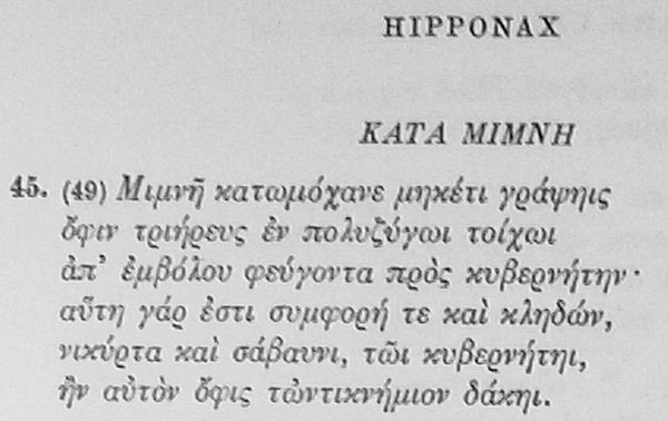 Гиппонакт.jpg