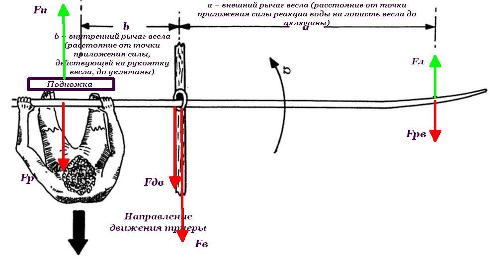 Силы на весло.jpg