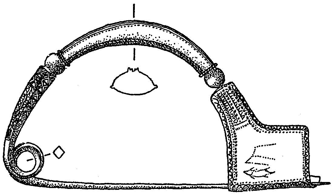 fibula-ram.jpg