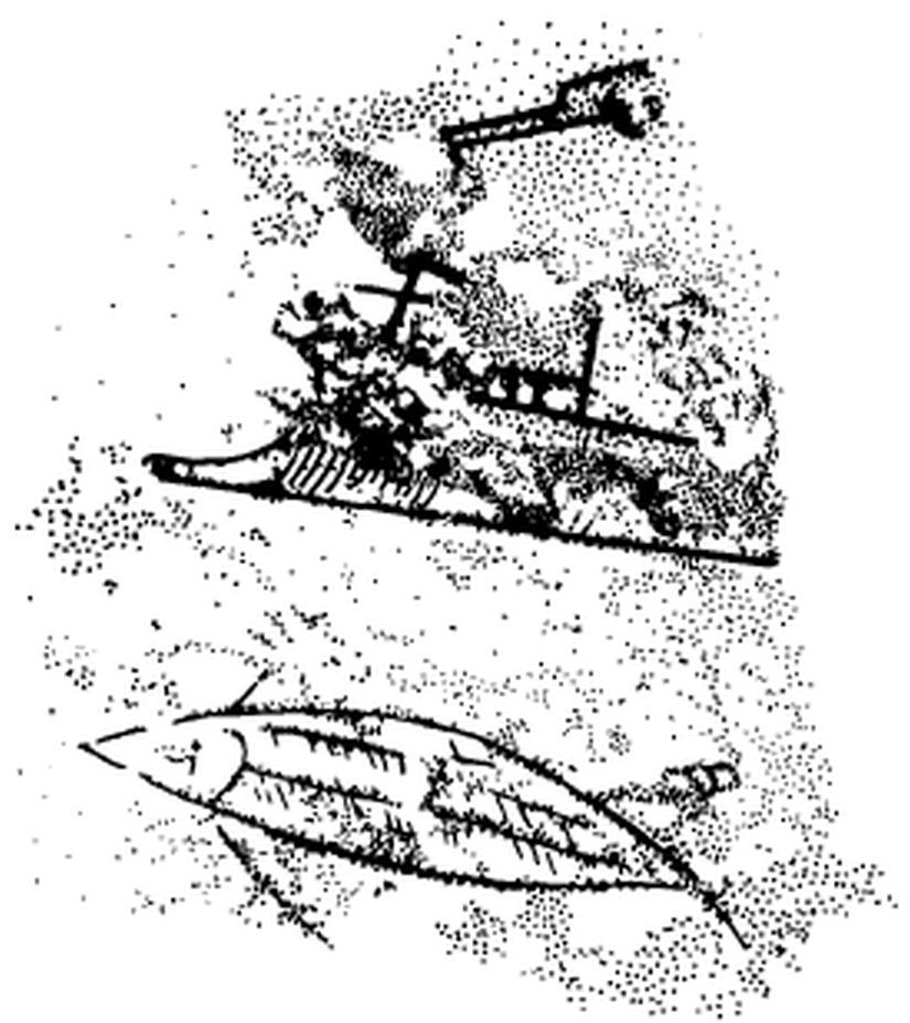 fibula-ram1.jpg
