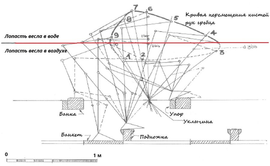 Диаграмма загребного.jpg